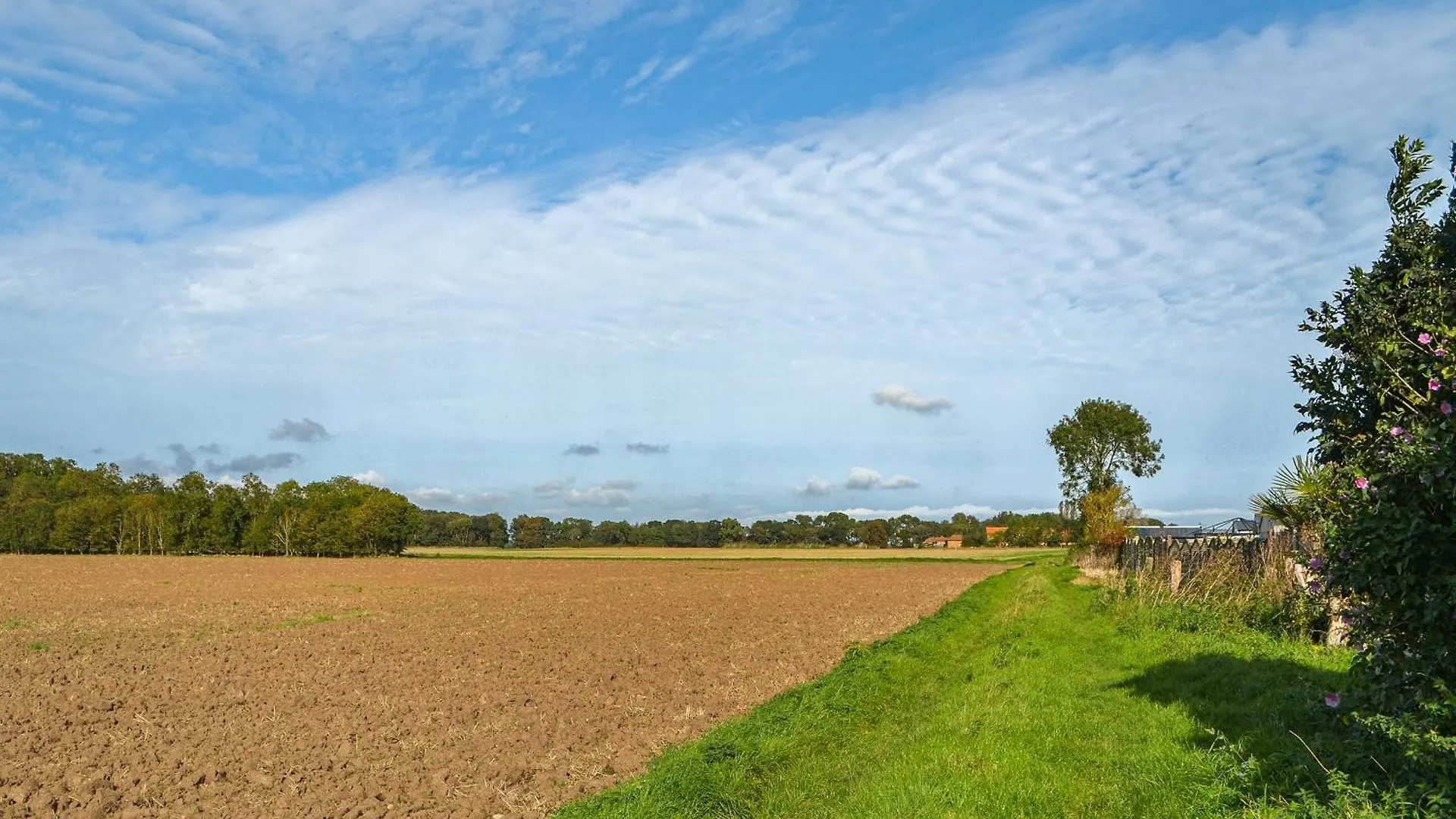 Atmospheric Patrington 0*,  United Kingdom